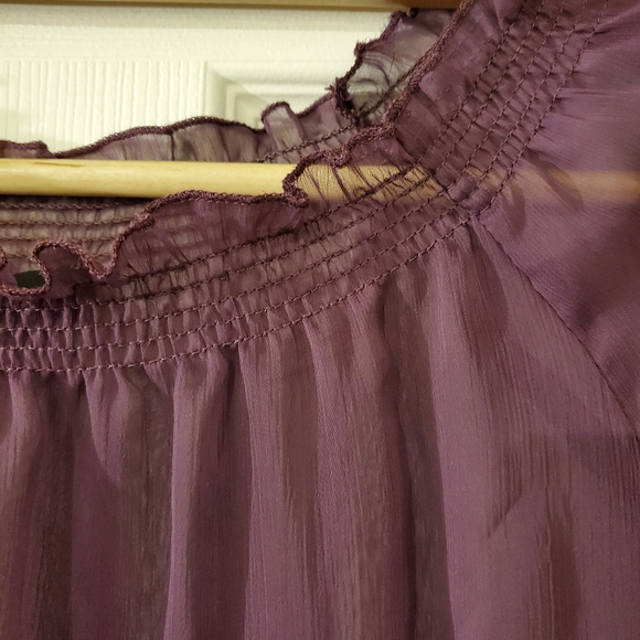 Bedo Sheer Long Sleeve Blouse in Plum - Picture 3 of 6